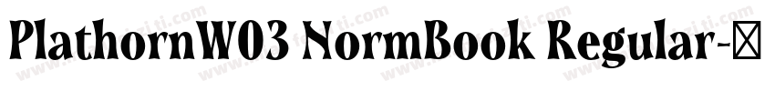 PlathornW03 NormBook Regular字体转换
